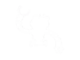 Disarm