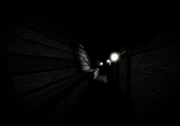 Tigry-CFC-Leak1
