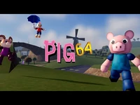 What_is_PIG_64?-2