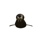 Walrus