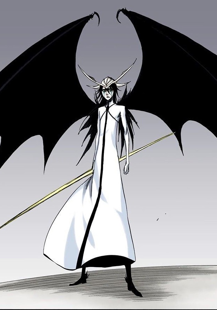 Hueco Mundo, Project Mugetsu Wiki