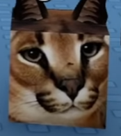 Roblox levanta uma simulação floppa cubo gato caracal pelúcia