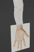Development image 5