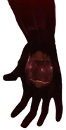 Another Kalypto render.