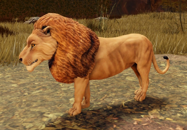 Lion | Savannah Life Wiki | Fandom