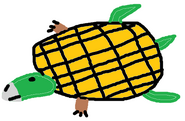 Waffle Turtise (Hybrid of Turtle and Tortoise)