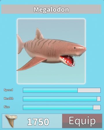 Megalodon Roblox Shark Bite Wiki Fandom - roblox shark game