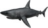 Shark Bite Roblox-11