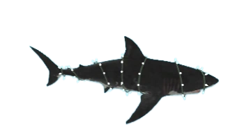 Christmas Shark | SharkBite Wiki | Fandom