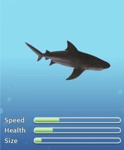 SharkBite, SharkBite Wiki