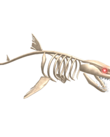 Skeleshark Roblox Shark Bite Wiki Fandom - shark roblox shark bite wiki fandom