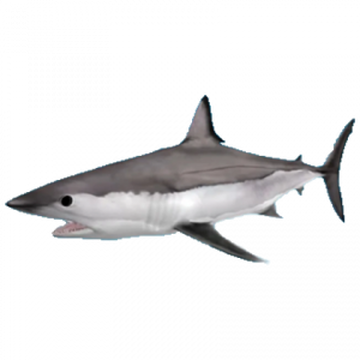 SharkBite, Roblox Wiki