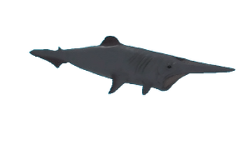 Goblin Shark, SharkBite Wiki