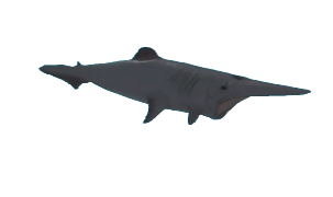 SharkBite 2, SharkBite Wiki