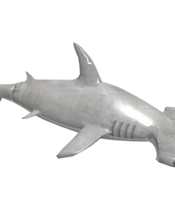 Hammerhead Roblox Shark Bite Wiki Fandom - roblox shark attack videos