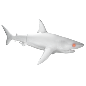 Ghost Shark, SharkBite Wiki