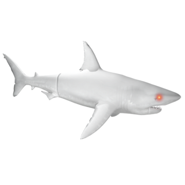 SharkBite, SharkBite Wiki