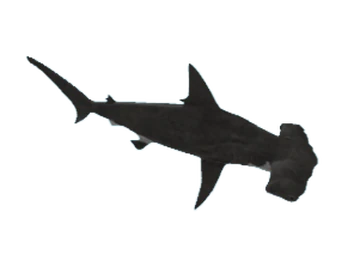 Great Hammerhead | SharkBite Wiki | Fandom