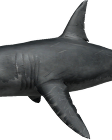 shark attack roblox wiki