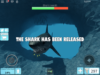 Shark Roblox Shark Bite Wiki Fandom - attacked by a massive megalodon shark in roblox roblox sharkbite