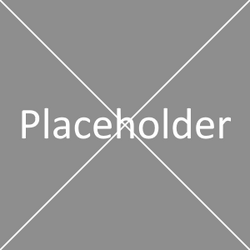 Placeholder gamepass - Roblox