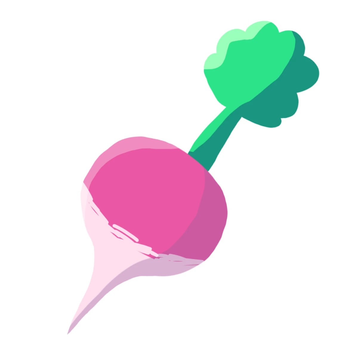 Radish The Bees History Wiki Fandom