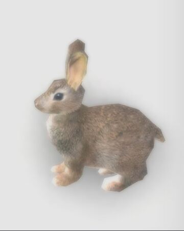 rabbit roblox the northern frontier