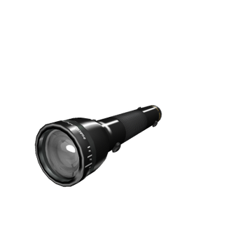 The flashlight sale