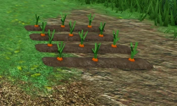 Carrot Roblox The Survival Game Wiki Fandom 350