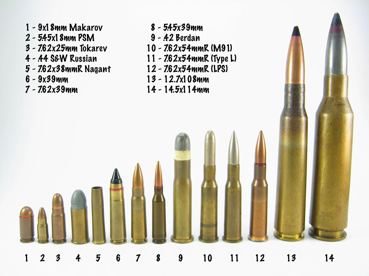 Ammo Types & Calibers 