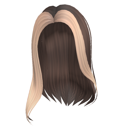 Beautiful Brown Hair for Beautiful People, Roblox Wiki