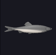 Fishing Locations Roblox World Of Magic Wiki Fandom - great white mount roblox