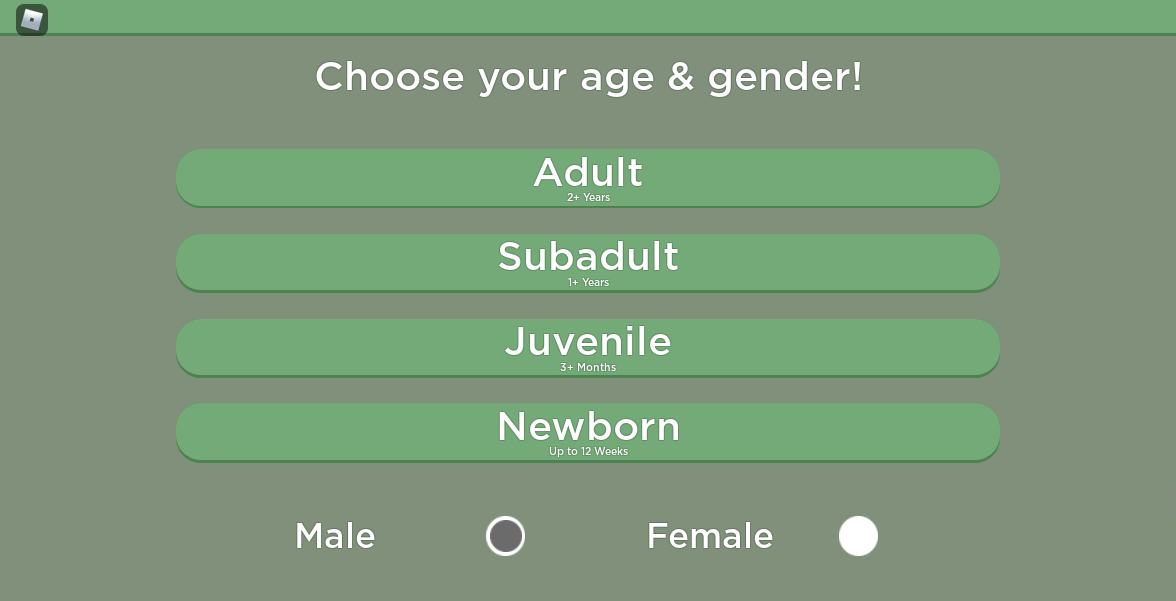 Customization Roblox Yellowstone Wiki Fandom - can you change gender in roblox