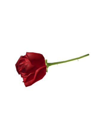 Catalog Latin Rose Roblox Wikia Fandom - beautiful red rose flowers pictures roblox