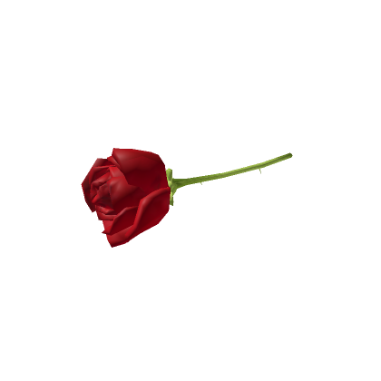 Latin Rose Roblox Wiki Fandom - rose roblox id code