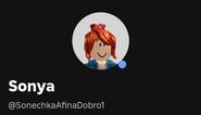 Статус, когда пользователь на сайте Roblox