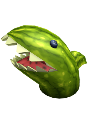 Watermelon Shark Roblox Wiki Fandom - roblox watermelon head