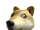 Doge