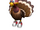 Turkey Friend