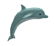 Dolphin.png