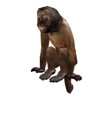 Catalog Dexter The Monkey Roblox Wikia Fandom - roblox monkey head