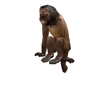Catalog Dexter The Monkey Roblox Wikia Fandom - monkey roblox avatar