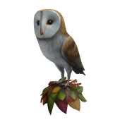Barn Owl Perch Hat