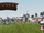 Trumbama/Musket Testing