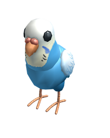 Catalog Blue Budgie Buddy Roblox Wikia Fandom - parrot skin roblox