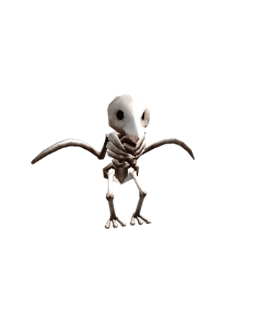 Catalog Skeleton Bird Friend Roblox Wikia Fandom - skeleton halloween t shirt roblox png