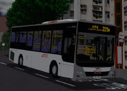 225X