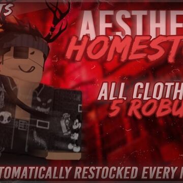 Aesthetic Clothing Homestore Roblox Wiki Fandom - aesthetic groups on roblox