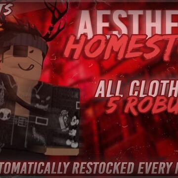 Aesthetic Vibe Aesthetic Clothing Homestore Roblox Wikia Fandom - roblox aesthetic logo red