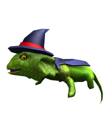 Lizard Wizard Roblox Wiki Fandom - wizard lizard roblox